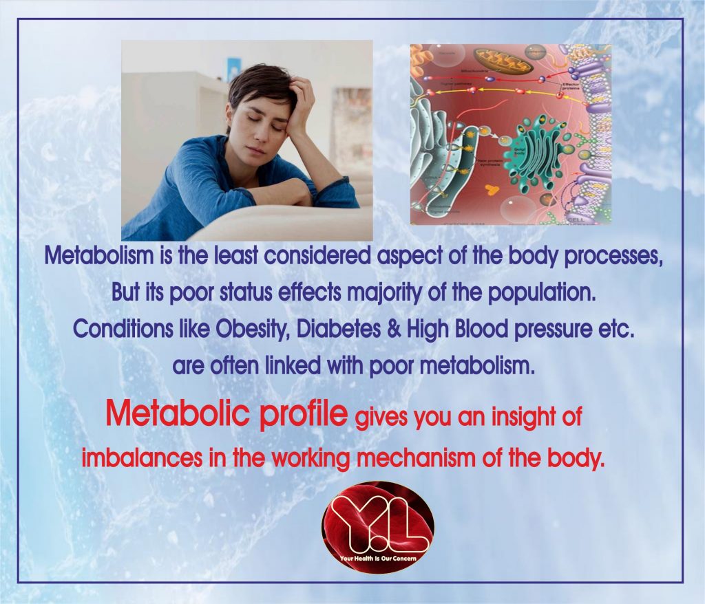 Lipid Profile Test in Amritsar