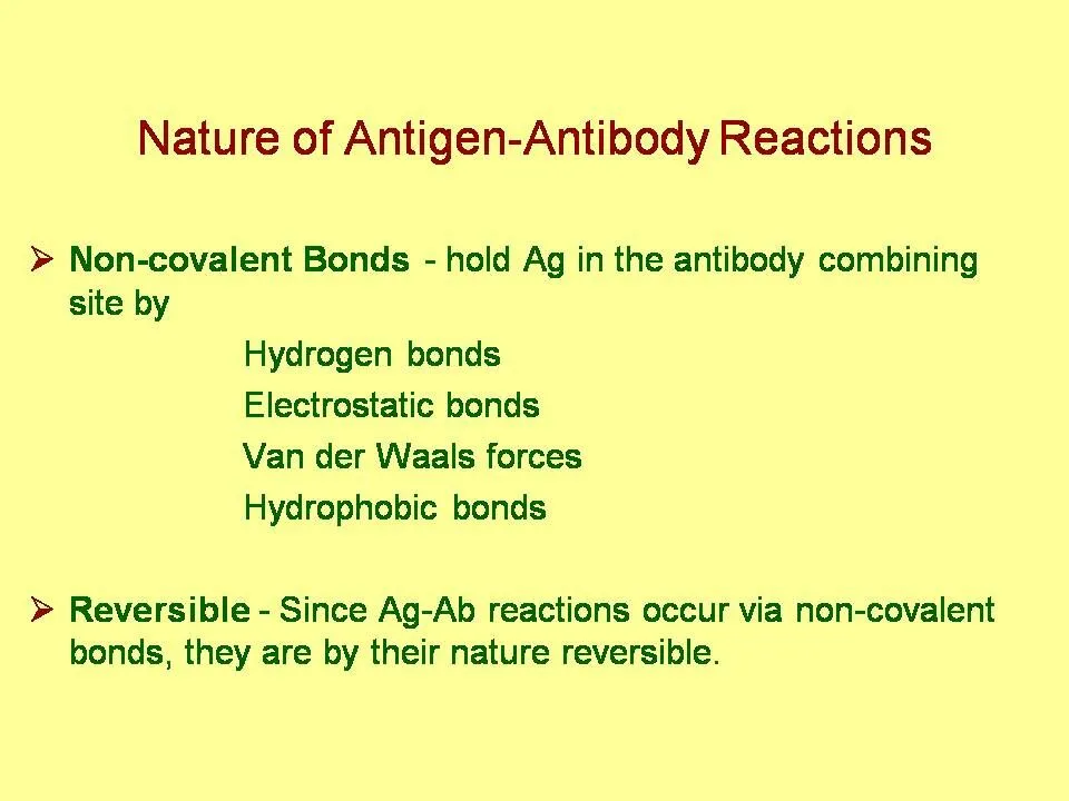 Best Pathology Lab in Amritsar