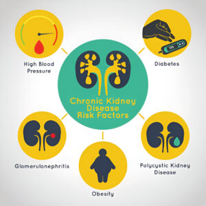 Kidney Function Test in Amritsar