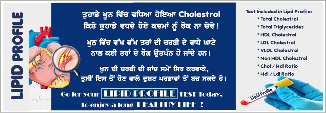 Lipid Profile Test in Amritsar