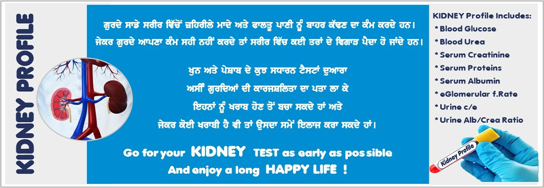 Kidney Function Test in Amritsar