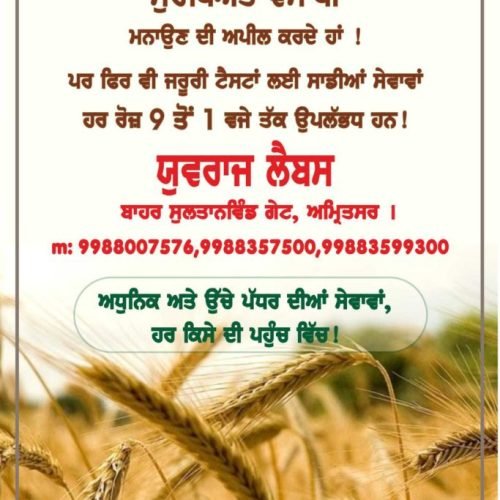 Best Pathology Lab in Amritsar