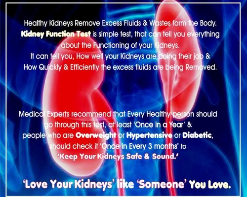 Kidney Function Test in Amritsar