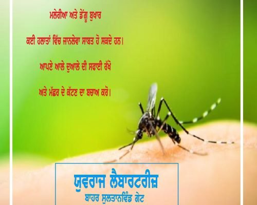 Best Pathology Lab in Amritsar